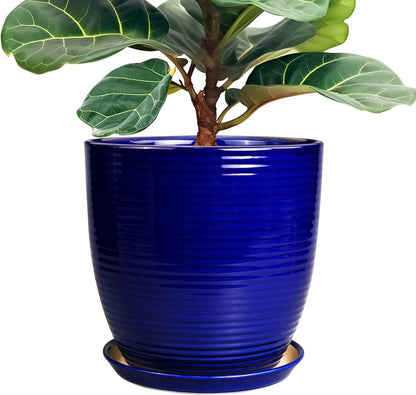 Ceramic Pots for Plants - 6 Inch Plant Pot with Drainage Hole and Saucer, Round Planters for Indoor Outdoor, Flower Pots, Modern Planter, Home Office Room Decor, Gifts for Plant Lovers, White