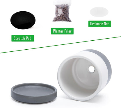 D'vine Dev Set of 2 Plants Pots, 6.5 Inch Ceramic Planter Pot for Plants with Drainage Hole and Saucer, White, 94-V-C-1