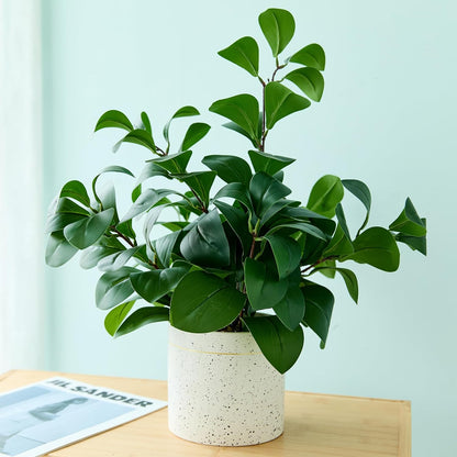 AlphaAcc Artificial Plants Decor Greenery Fake Succulents Indoor Potted Fake Plant with Rustic Black Clay Planter for Home Decor Farmhouse Room Bathroom Bedroom Kitchen Office Table Decor