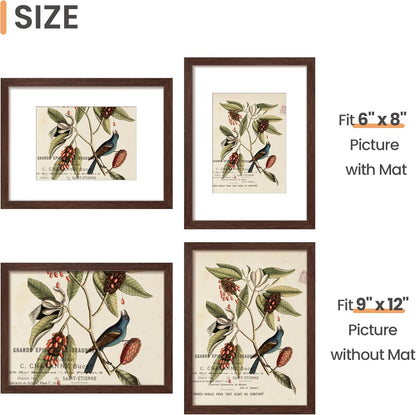upsimples 8x10 Picture Frame, Display Pictures 5x7 with Mat or 8x10 Without Mat, Wall Hanging Photo Frame, Black, 1 Pack - Colors B