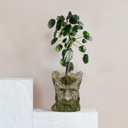 vomiceak Face Planter Pots Head, Planters for Indoor Plants - Double Cute Plant Pots for Flower & Succulent with Drainage Holes - Gift Ideas for Women (White Lady)