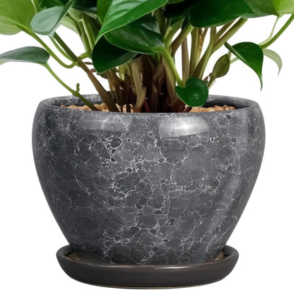 Ceramic Modern Glaze Succulent Planter Pot with Drainage Hole and Saucer 6 Inch Round Flower Plant Pot for Indoor Outdoor Herb Snake Plants