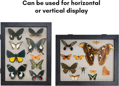 Americanflat Front Opening 11x14 Shadow Box Frame with Shatter-Resistant Glass - Silhouette Collection - Shadow Box Display Case for Tabletop and Wall Display - Black
