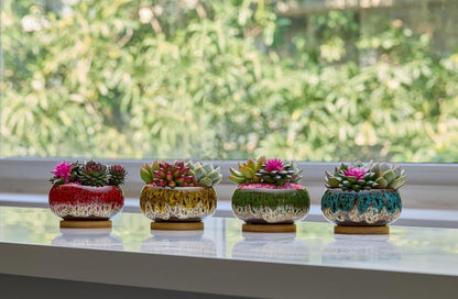 Cute Ceramic Succulent Garden Pots, Planter with Drainage and Attached Saucer, Set of 5 -Plants Not Included (Round)