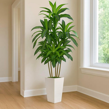 6FT Artificial Dracaena Tree, Fake Tree Indoor with White Tall Planter,Tall Artificial Plants Indoor,Artificial Silk Tree for Home Office Decor (White)