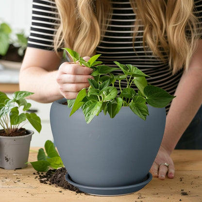 Ceramic Modern Glaze Succulent Planter Pot with Drainage Hole and Saucer 6 Inch Round Flower Plant Pot for Indoor Outdoor Herb Snake Plants