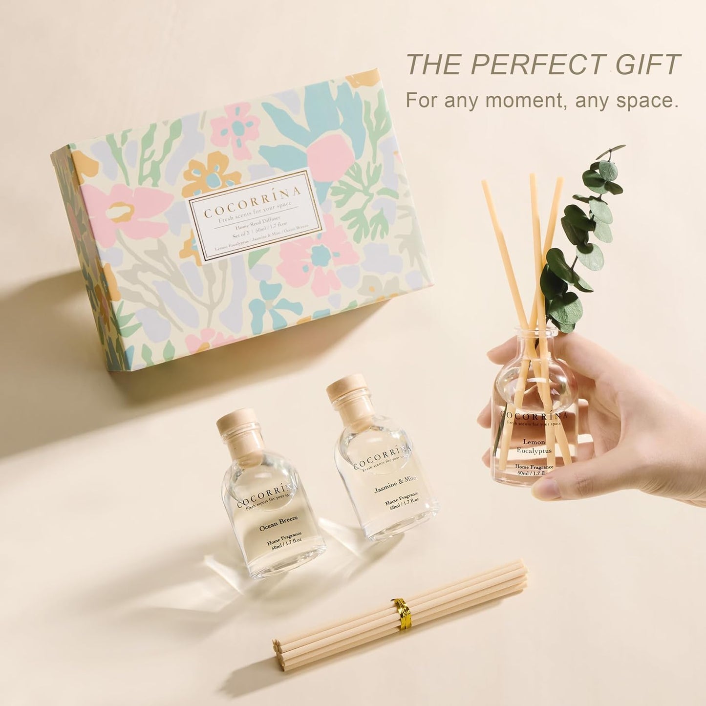 COCORRÍNA Eucalyptus Reed Diffuser Set of 3 - Lavender Eucalyptus, Black Forest, Clean Cotton Scents, 1.7 fl oz Each, Total 5.1 oz, Scented Oil Diffusers for Home & Office﻿