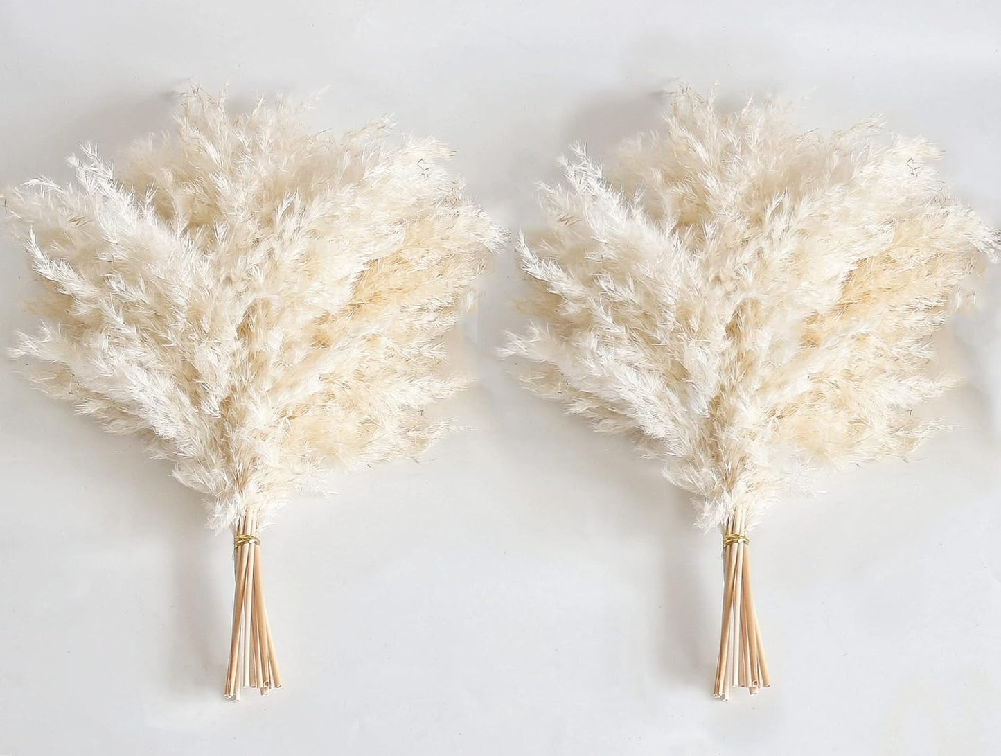 Pampas Grass Decor, Natural Dry Pampas Grass Small, Short Pampass Bulk for Farmhouse, Wall, Kitchen, Bedroom Decor, Office Decor (17 inch )