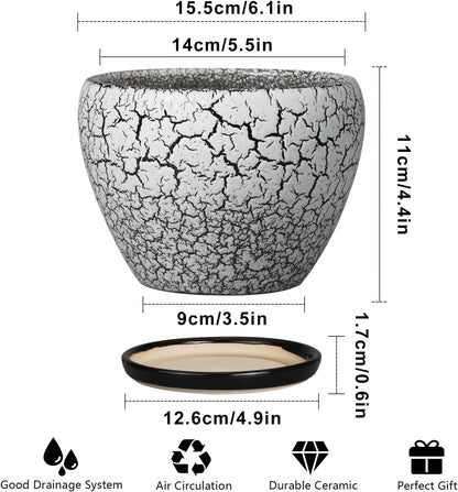 Ceramic Modern Glaze Succulent Planter Pot with Drainage Hole and Saucer 6 Inch Round Flower Plant Pot for Indoor Outdoor Herb Snake Plants