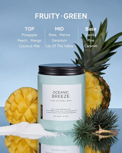 M&SENSE Eucalyptus & Mint Scented Jar Candle, Large 19.4oz Natural Soy Wax, 110-Hour Long Lasting Non-Toxic Clean Burning, Fresh Smelling Home Aromatherapy for Spa Stress Relief, Gifts for Men Women