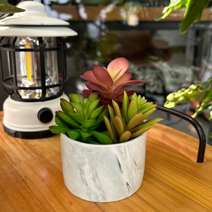 Artificial Plants Succulent Flowers in Ceramic Planter 2 Pack Small Fake Plants Potted for Home Office Desk Decor Farmhouse Living Room Bedroom Shelves Decoration