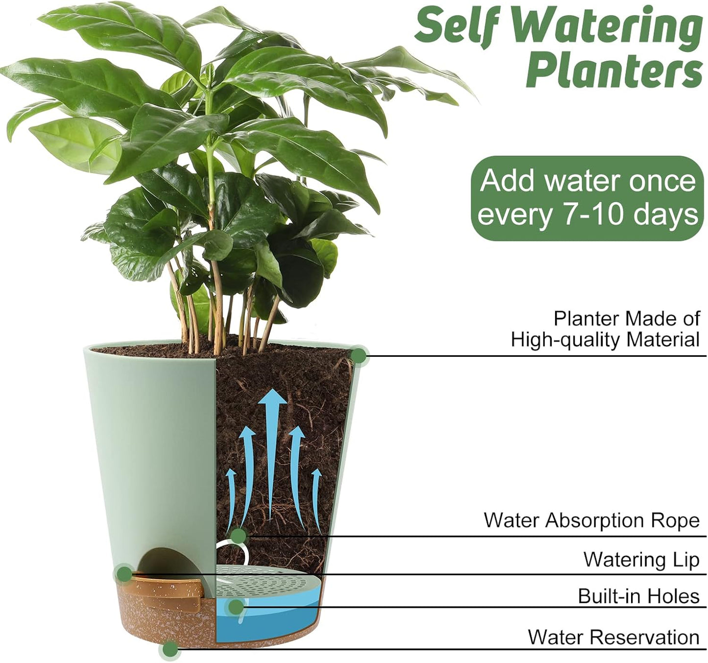 YNNICO Indoor Self Watering Planters with Drainage Holes and Saucers, 8, 7, 6.5, 6, 5.5, 5 Inches, Black, 6 Pots