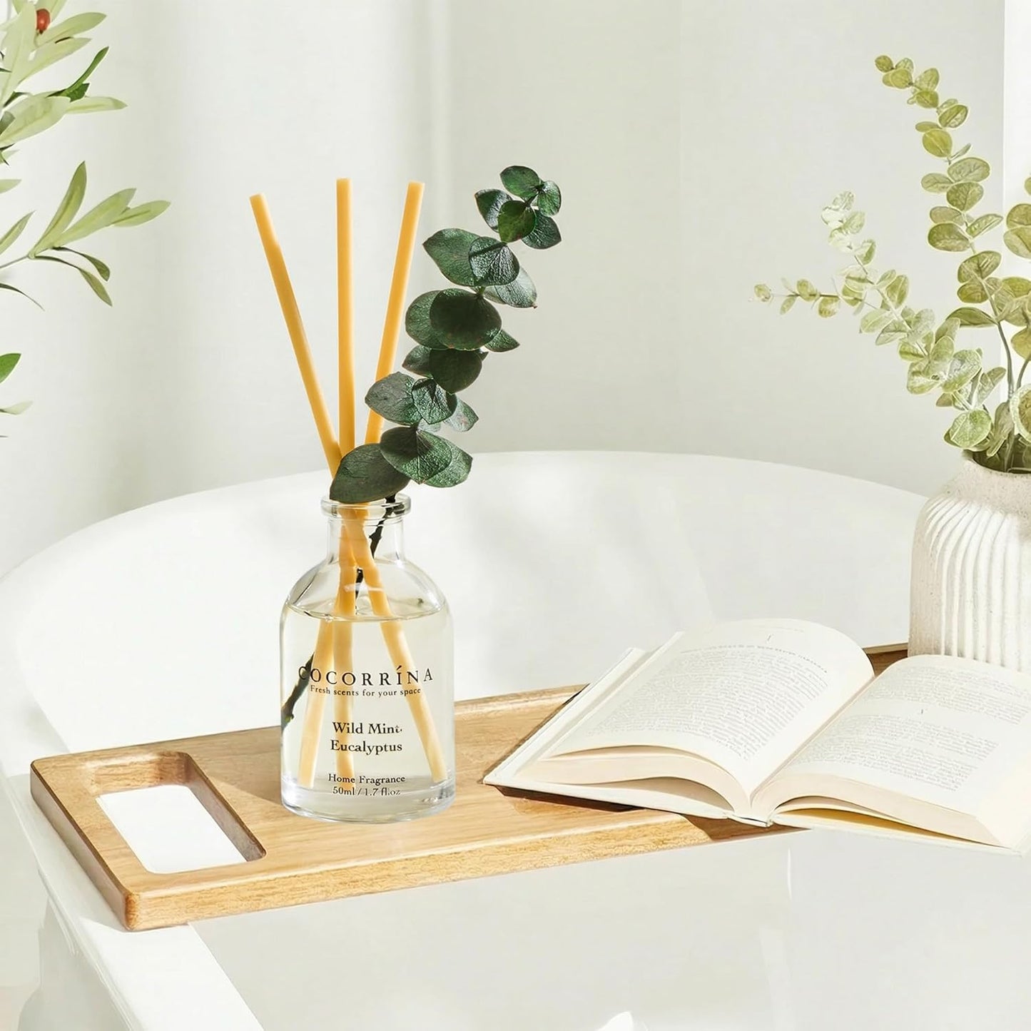 COCORRÍNA Eucalyptus Reed Diffuser Set of 3 - Lavender Eucalyptus, Black Forest, Clean Cotton Scents, 1.7 fl oz Each, Total 5.1 oz, Scented Oil Diffusers for Home & Office﻿