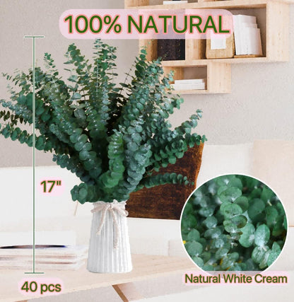 30 Pcs Dried Preserved Eucalyptus Stems Shower Bundle, 9oz 17" 100% Natural Fresh Eucalyptus Plant, Real Eucalyptus Leaves Branches for Shower Vase Filler, Dried Flowers Arrangement Home Decor
