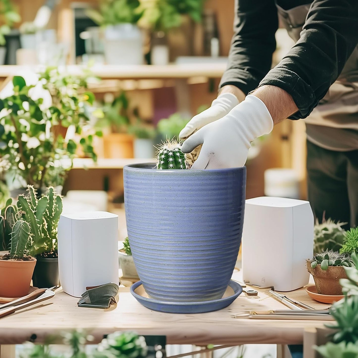 Ceramic Pots for Plants - 6 Inch Plant Pot with Drainage Hole and Saucer, Round Planters for Indoor Outdoor, Flower Pots, Modern Planter, Home Office Room Decor, Gifts for Plant Lovers, White