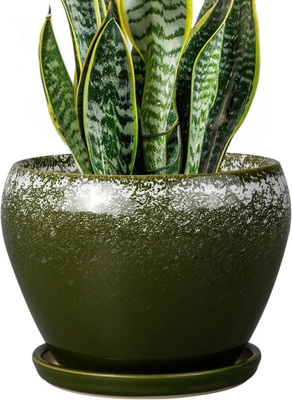 Ceramic Modern Glaze Succulent Planter Pot with Drainage Hole and Saucer 6 Inch Round Flower Plant Pot for Indoor Outdoor Herb Snake Plants