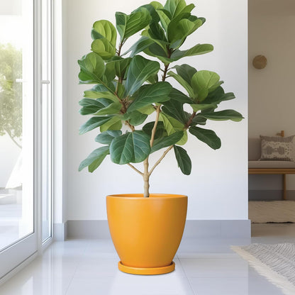 10 Inch Ceramic Planter Pot Round Plant Pot for Indoor Plants Outdoor Large Flower Pot with Drainage Hole and Saucer Blue
