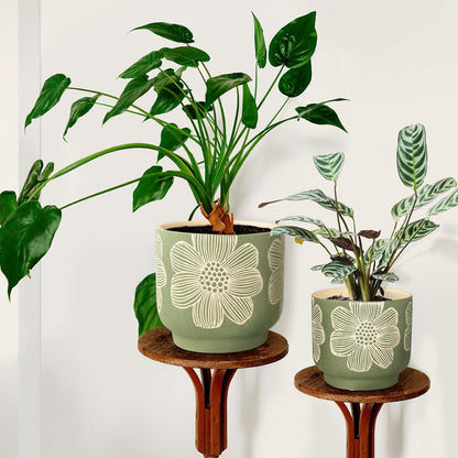 YBX 8 Inch + 6 Inch Ceramic Plant Pots, Succulent Flower Pots with Drainage Holes, Terracotta Planters for Indoor Plants, White&Terracotta (Garden)