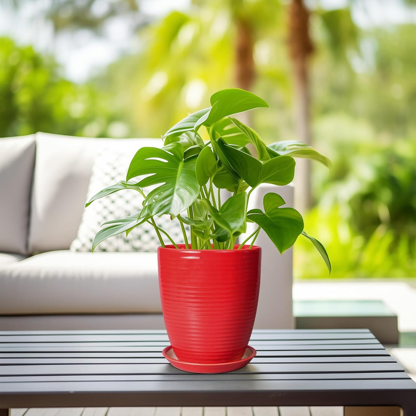 Ceramic Pots for Plants - 6 Inch Plant Pot with Drainage Hole and Saucer, Round Planters for Indoor Outdoor, Flower Pots, Modern Planter, Home Office Room Decor, Gifts for Plant Lovers, White