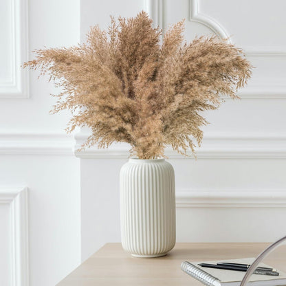Pampas Grass Decor, Natural Dry Pampas Grass Small, Short Pampass Bulk for Farmhouse, Wall, Kitchen, Bedroom Decor, Office Decor (17 inch )