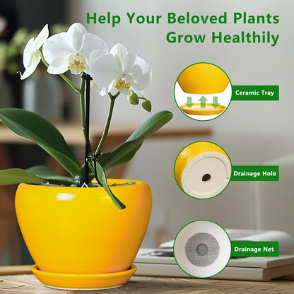 Ceramic Modern Glaze Succulent Planter Pot with Drainage Hole and Saucer 6 Inch Round Flower Plant Pot for Indoor Outdoor Herb Snake Plants