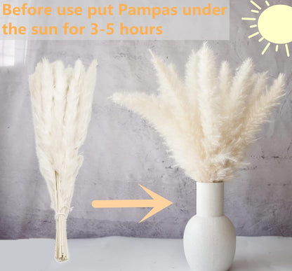 40" inch 10 Stems Pampas Grass Decor Tall, Pampas Grass Bouquet, Natural Dried Flowers for Wedding, Natural Home Decor, Wall Grass, Glam Decor