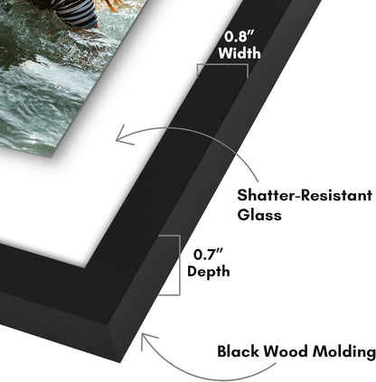 Americanflat 4x6 Collage Picture Frame with Shatter-Resistant Glass - Fits Five 4x6 Photos or Use as One 11x14 Picture Frame - Signature Collection - Collage Frames for Wall Display - Black