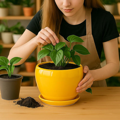 Deep Dream 6 Inch Plant Pots- Ceramic Planter Pot with Drainage Hole and Saucer, Round Flower Pot for Indoor Outdoor Succulent, Snake Plants and Cactus, Blue