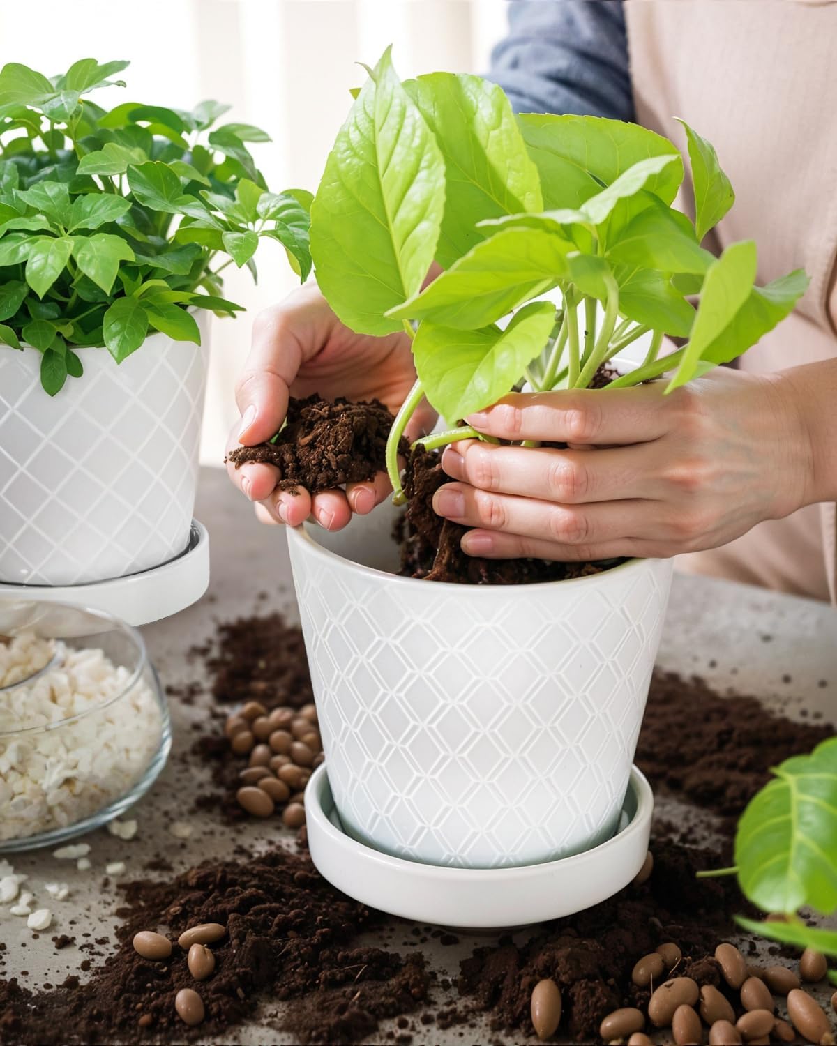 EFISPSS Flower Planter –5 inch Ceramic Plant Pots with Drainage Hole and Ceramic Tray - Gardening Home Desktop Office Windowsill Decoration Gift Set of 4 - Plants NOT Included