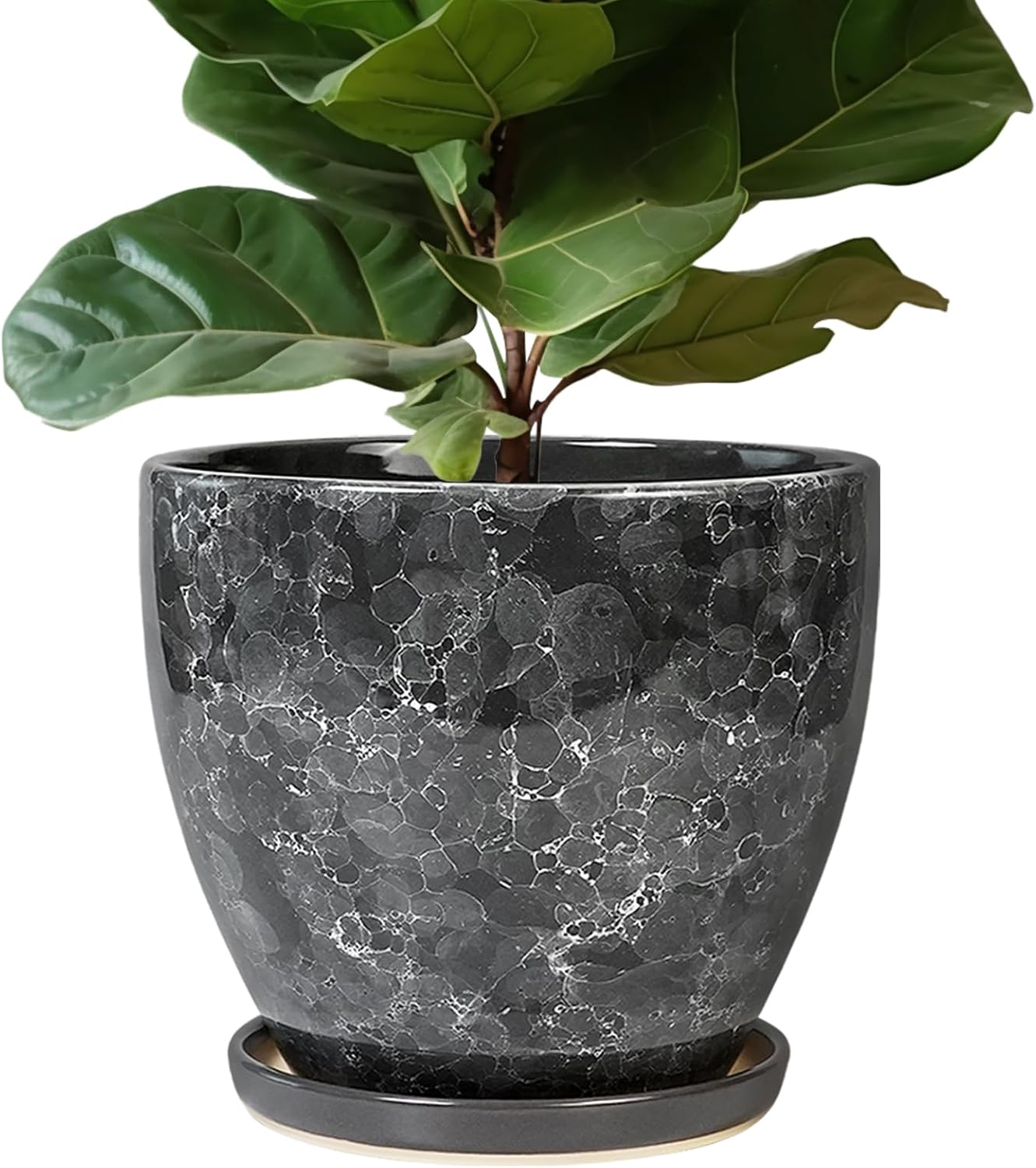 10 Inch Ceramic Planter Pot Round Plant Pot for Indoor Plants Outdoor Large Flower Pot with Drainage Hole and Saucer Blue