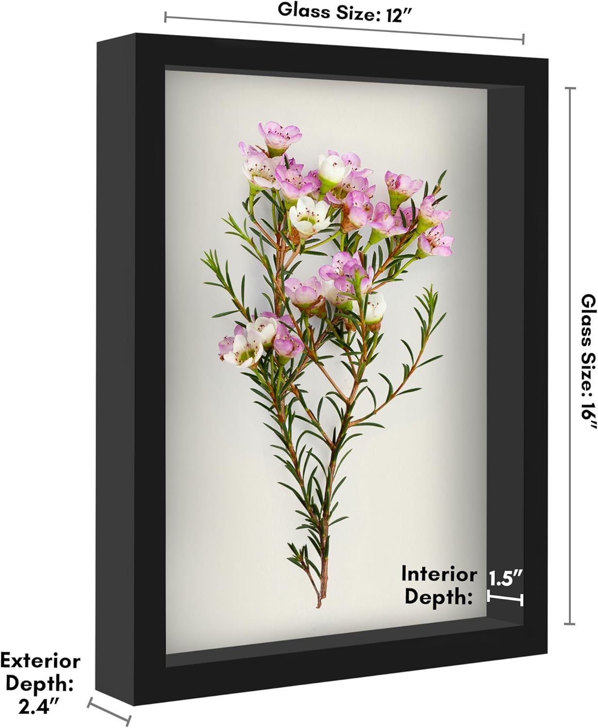 Americanflat 12x16 Shadow Box Frame with Polished Plexiglass - Silhouette Collection - Large Shadow Box Display Case for Tabletop and Wall Display - Black with Soft Felt Back
