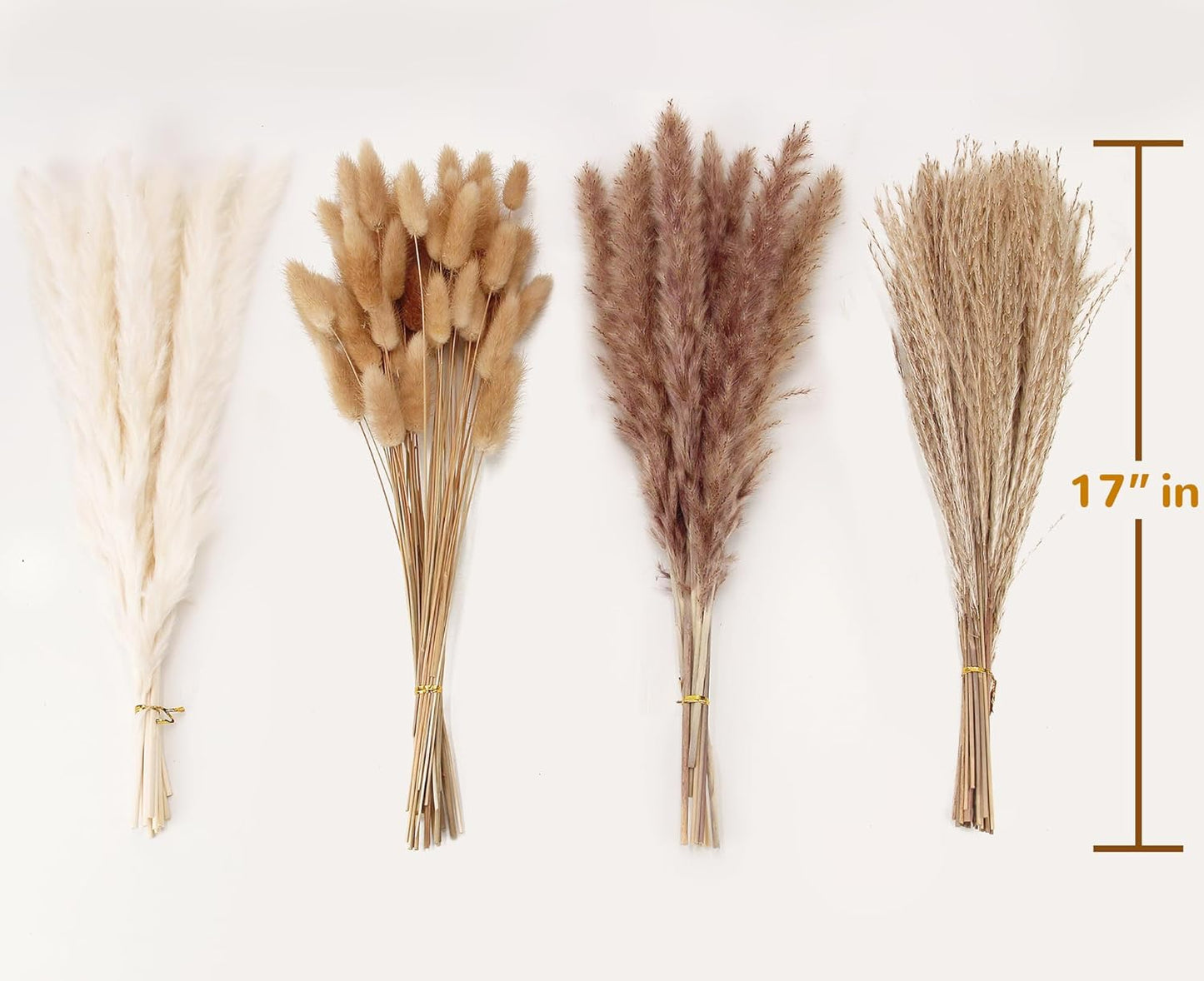 65PCS Pampas Grass Decor, Including pompas Floral, Reed Dried Grass and Bunny Tails Dried Flowers, Natural Dried Pampas Grass Bouquet for Boho Decor Wedding, Home Decoration