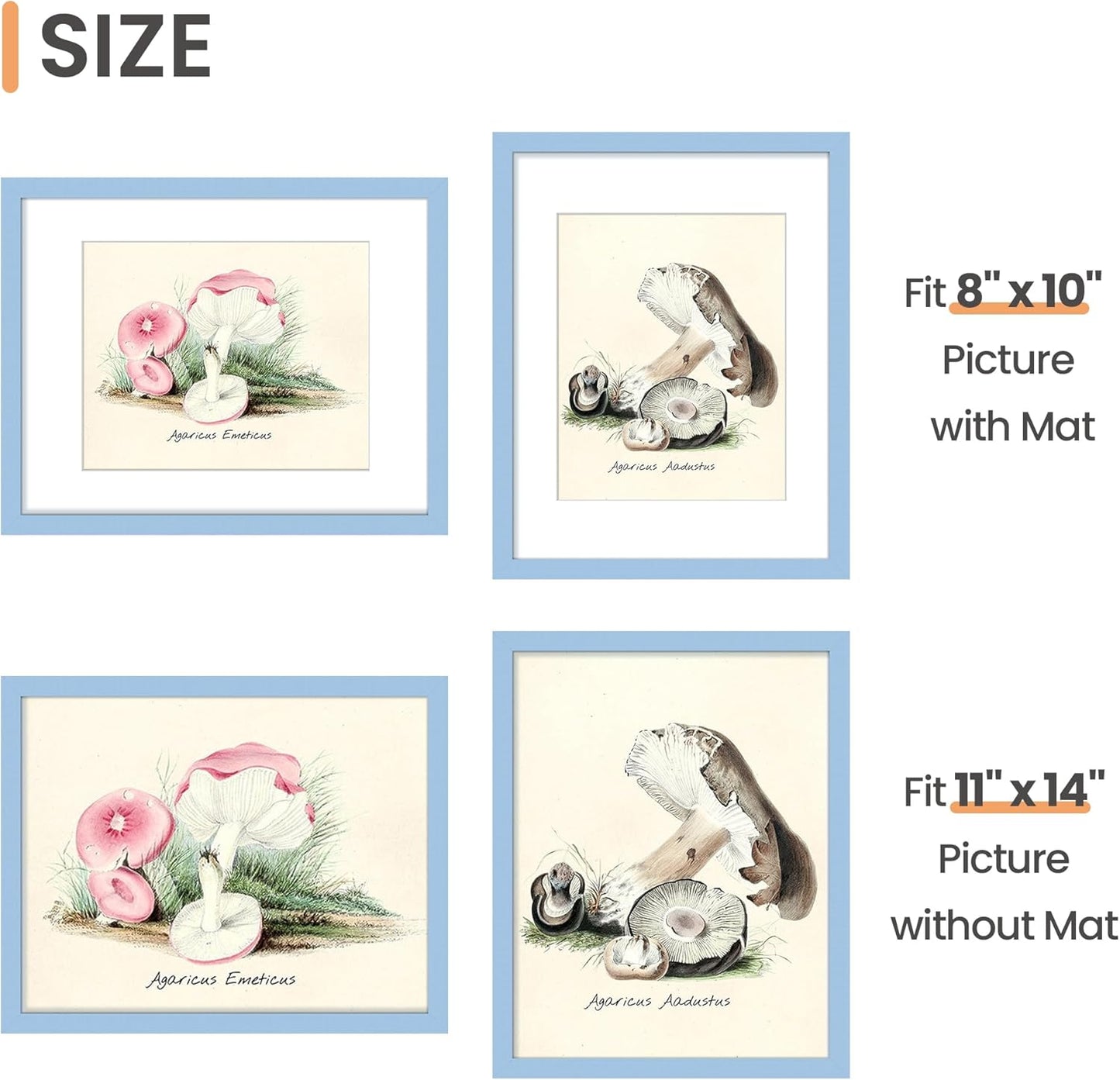 upsimples 8x10 Picture Frame, Display Pictures 5x7 with Mat or 8x10 Without Mat, Wall Hanging Photo Frame, Black, 1 Pack - Colors A