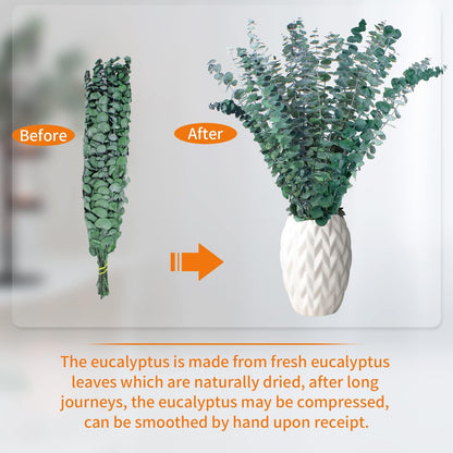 12PCS Dried Eucalyptus Bundle 17'' Real Eucalyptus Stems 100% Natural Fresh Leaves Hanging Plants Greenery Stems for Shower Home Decor Flower Arrangement Wedding