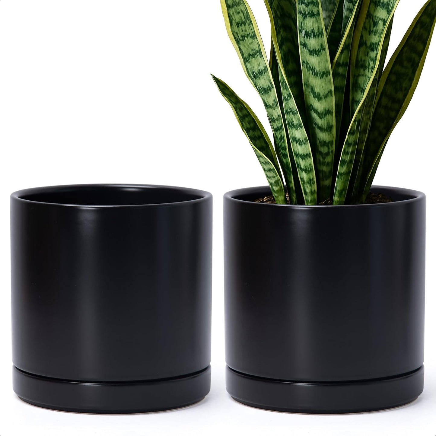 D'vine Dev Set of 2 Plants Pots, 6.5 Inch Ceramic Planter Pot for Plants with Drainage Hole and Saucer, White, 94-V-C-1