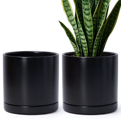 D'vine Dev Set of 2 Plants Pots, 6.5 Inch Ceramic Planter Pot for Plants with Drainage Hole and Saucer, White, 94-V-C-1