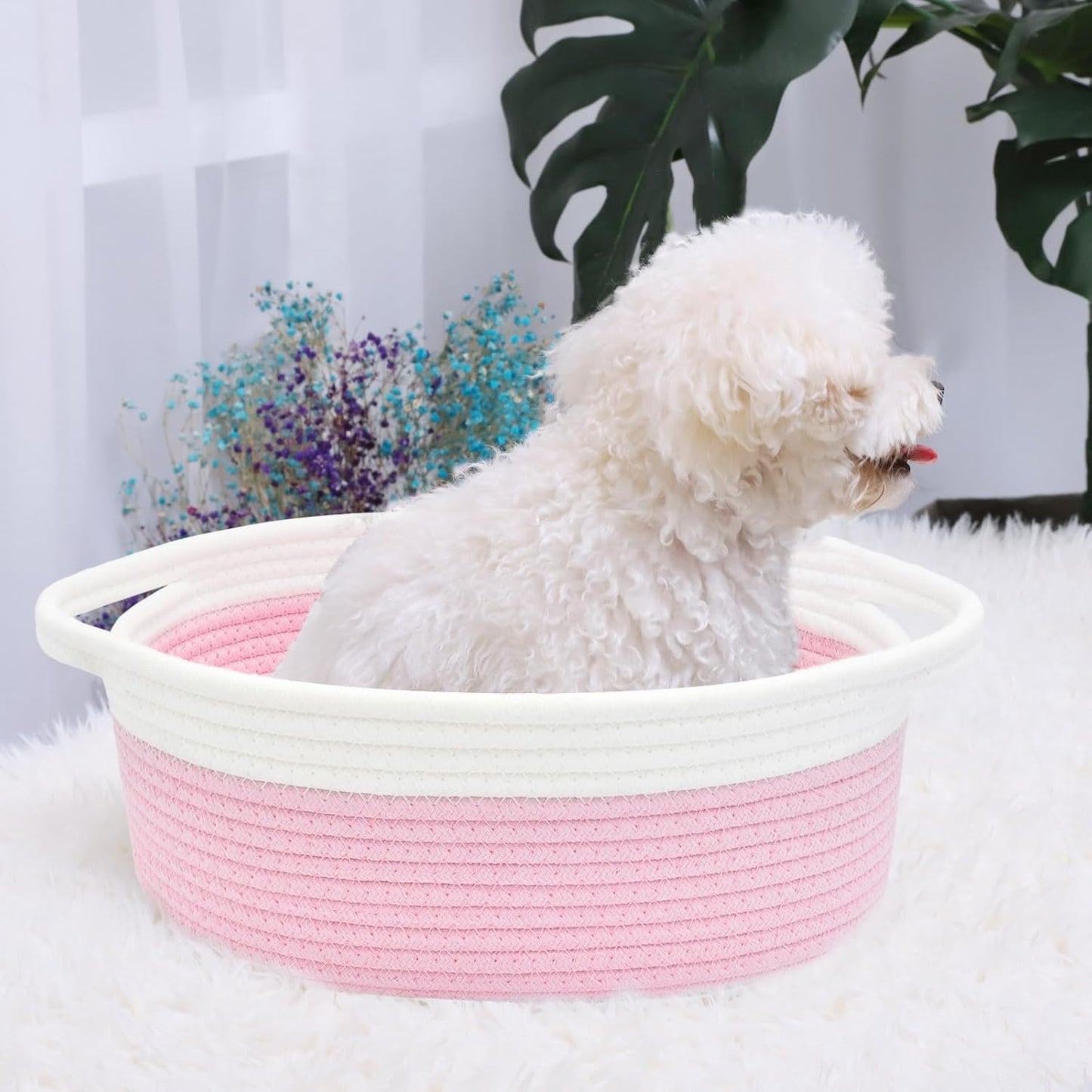ABenkle Small Basket with Handles, Boho Decorative Rope Woven Dog Cat Toy Storage Bin Shelf Storage Organizer, Easter Christmas Gift Basket, 12"x8"x5", White