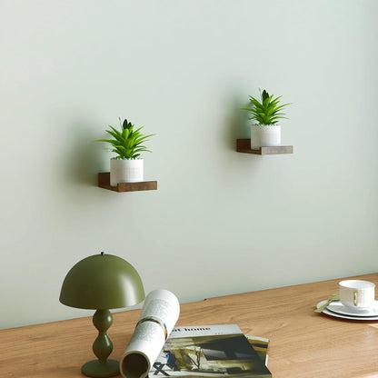 White Floating Shelves for Wall Decor, Wall Mounted Wood Storage Shelf for Bedroom, Living Room, Bathroom, Kitchen, Nursery, Display Picture Ledge Shelf with Lip Set of 2-14 Inches, White