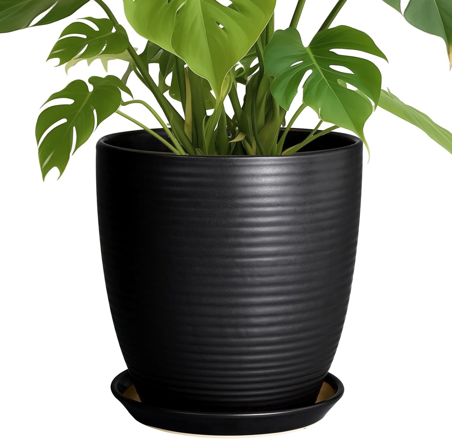 Ceramic Pots for Plants - 6 Inch Plant Pot with Drainage Hole and Saucer, Round Planters for Indoor Outdoor, Flower Pots, Modern Planter, Home Office Room Decor, Gifts for Plant Lovers, White