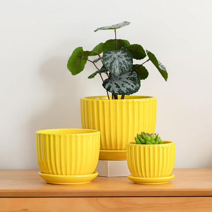 Ton Sin Pink Gold Ceramic Flower Pots, 4"+5"+6" Inch Small Glazed Succulent Planters with Drainage Hole,Modern Indoor Decorative Plant Pots Set of 3,Garden Pots with Saucer