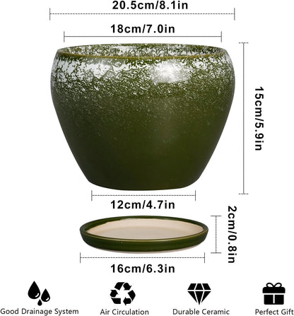 Ceramic Modern Glaze Succulent Planter Pot with Drainage Hole and Saucer 6 Inch Round Flower Plant Pot for Indoor Outdoor Herb Snake Plants