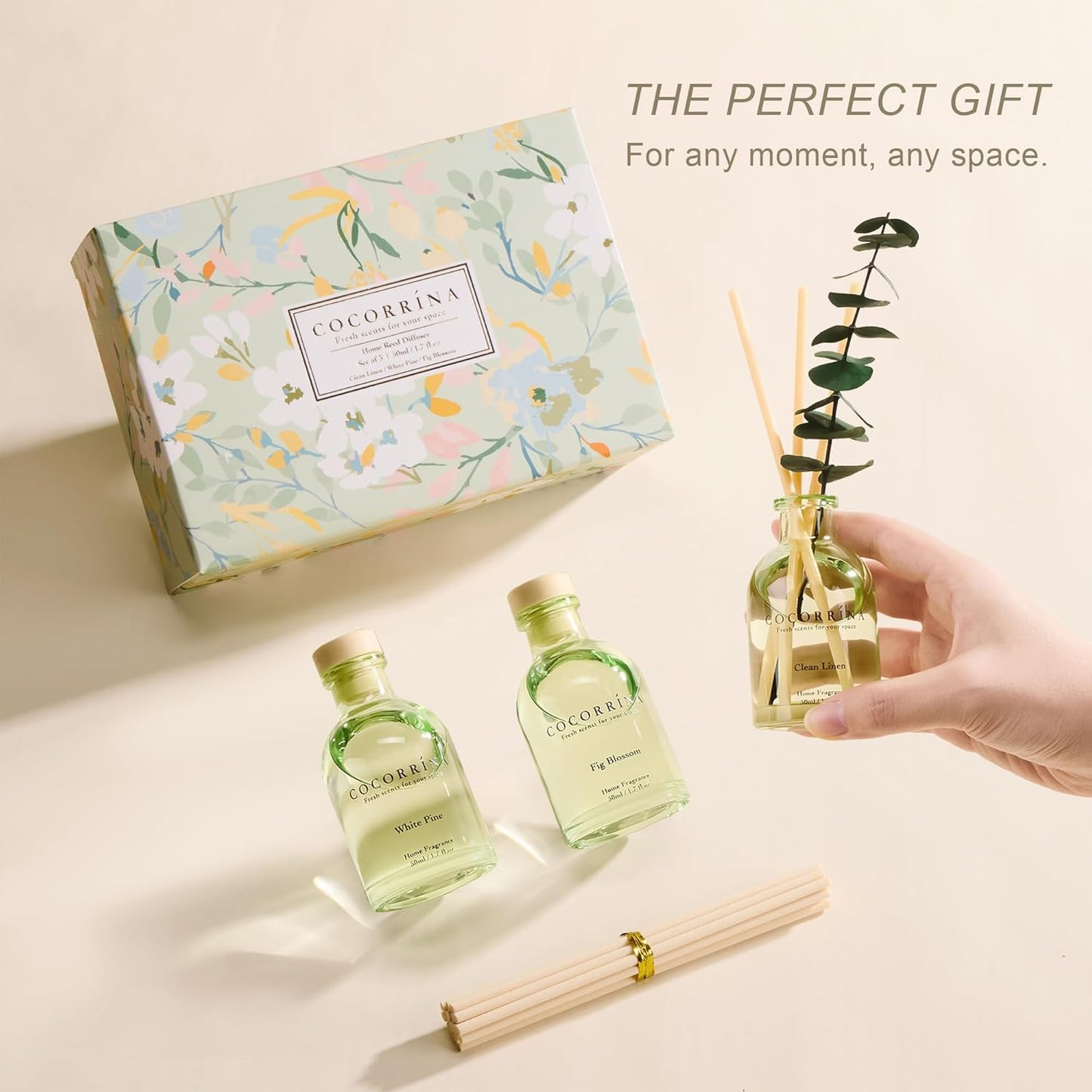 COCORRÍNA Eucalyptus Reed Diffuser Set of 3 - Lavender Eucalyptus, Black Forest, Clean Cotton Scents, 1.7 fl oz Each, Total 5.1 oz, Scented Oil Diffusers for Home & Office﻿