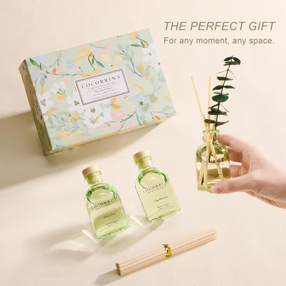 COCORRÍNA Eucalyptus Reed Diffuser Set of 3 - Lavender Eucalyptus, Black Forest, Clean Cotton Scents, 1.7 fl oz Each, Total 5.1 oz, Scented Oil Diffusers for Home & Office﻿