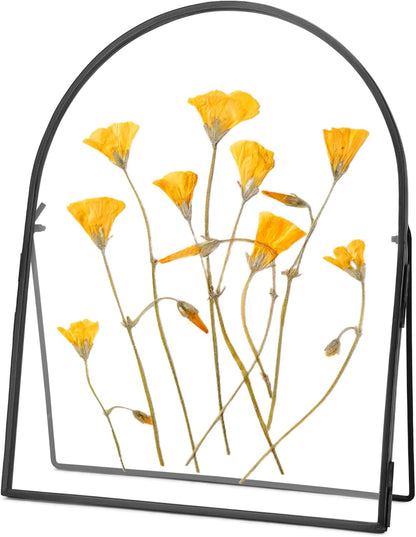 REDHUGO Double Glass Frame for Pressed Flowers Handmade, Metal Floating Picture Frame for Pressed Flower, Tabletop Display, Brass, ArcShaped, Black, 4x6 inches (FRAME ONLY)