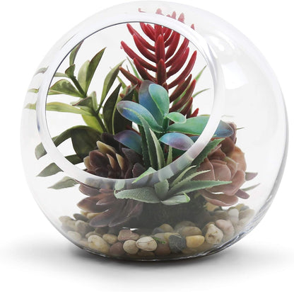 WGVI Clear Slant Cut Bowl Glass Vase, Glass Terrarium, Candy Dish, Glassware, Slant Open: 7". Height: 6" x 2.7". Base: 4" (1 Piece)
