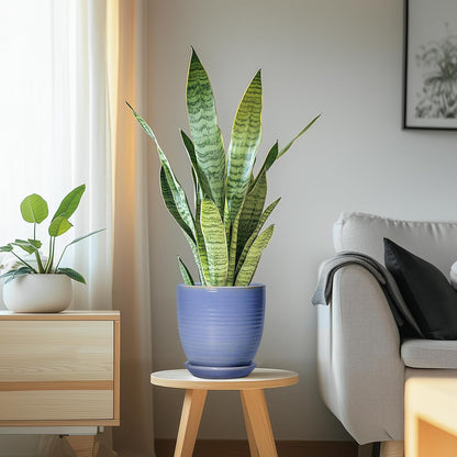 Ceramic Pots for Plants - 6 Inch Plant Pot with Drainage Hole and Saucer, Round Planters for Indoor Outdoor, Flower Pots, Modern Planter, Home Office Room Decor, Gifts for Plant Lovers, White