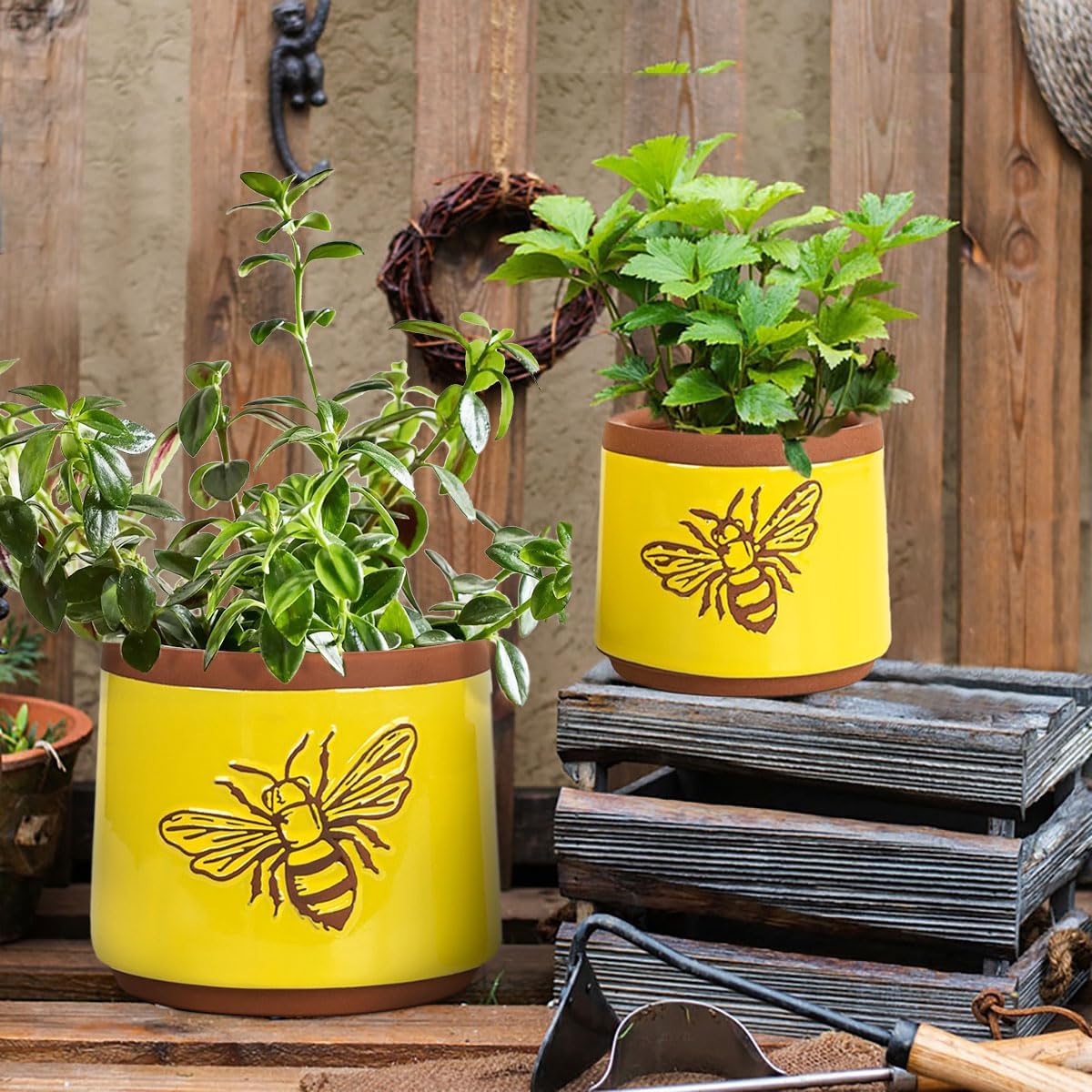 YBX 8 Inch + 6 Inch Ceramic Plant Pots, Succulent Flower Pots with Drainage Holes, Terracotta Planters for Indoor Plants, White&Terracotta (Garden)