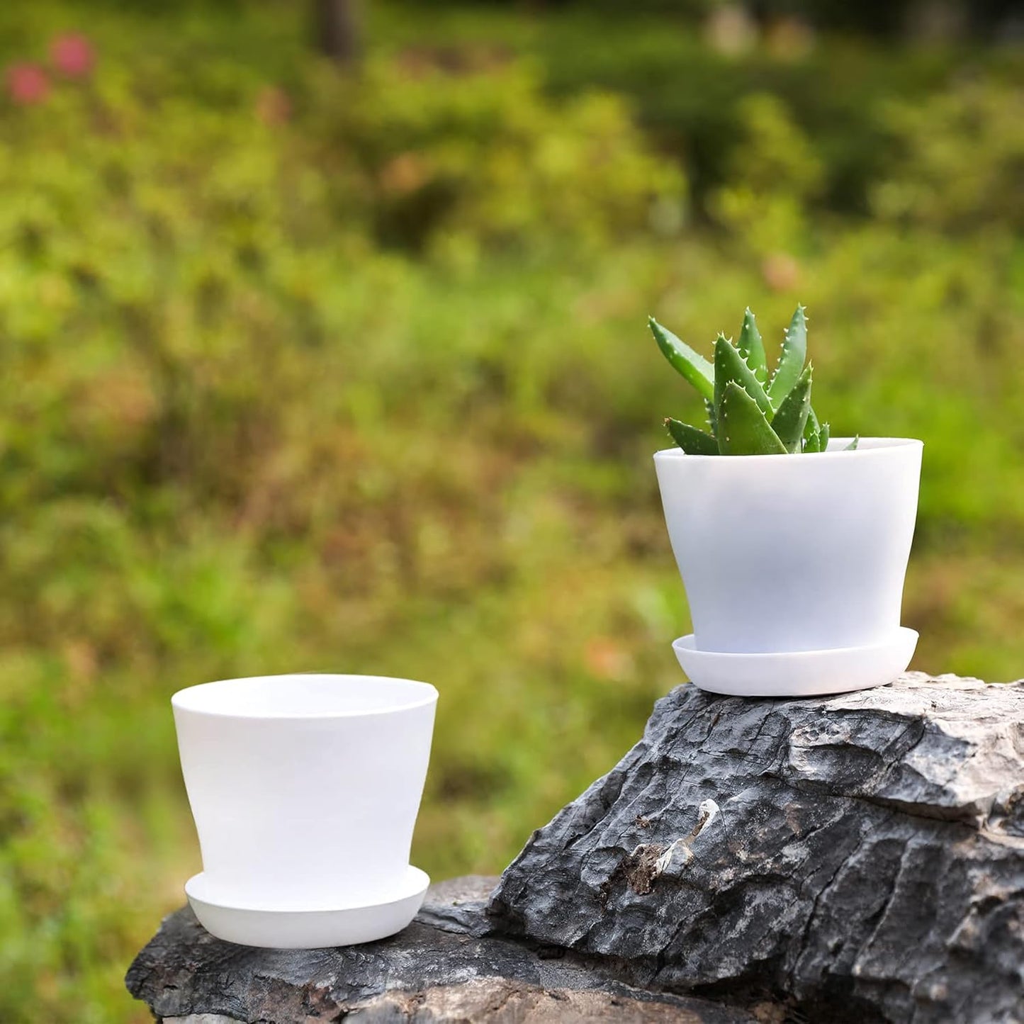 TDHDIKE 10 Pcs Plastic Planters Indoor Pots, Mini Flower Seedlings Nursery Flower Pot with Pallet, Modern Decorative Gardening Containers