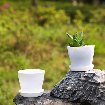 TDHDIKE 10 Pcs Plastic Planters Indoor Pots, Mini Flower Seedlings Nursery Flower Pot with Pallet, Modern Decorative Gardening Containers