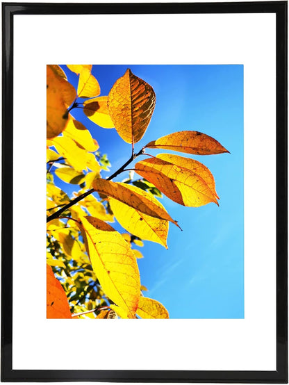 Aynoo Wood Floating Picture Frame 7x9, Table Top 8x10 7x9 6x8 Floating Frame Black Metal Modern Style Frame (PHSD),1Pack
